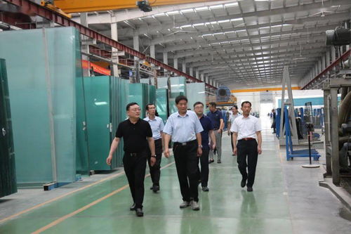 創(chuàng)新引領(lǐng) 促進(jìn)民營企業(yè)高質(zhì)量發(fā)展——省直專家服務(wù)組走進(jìn)山東耀華玻璃公司開展診斷咨詢服務(wù)活動